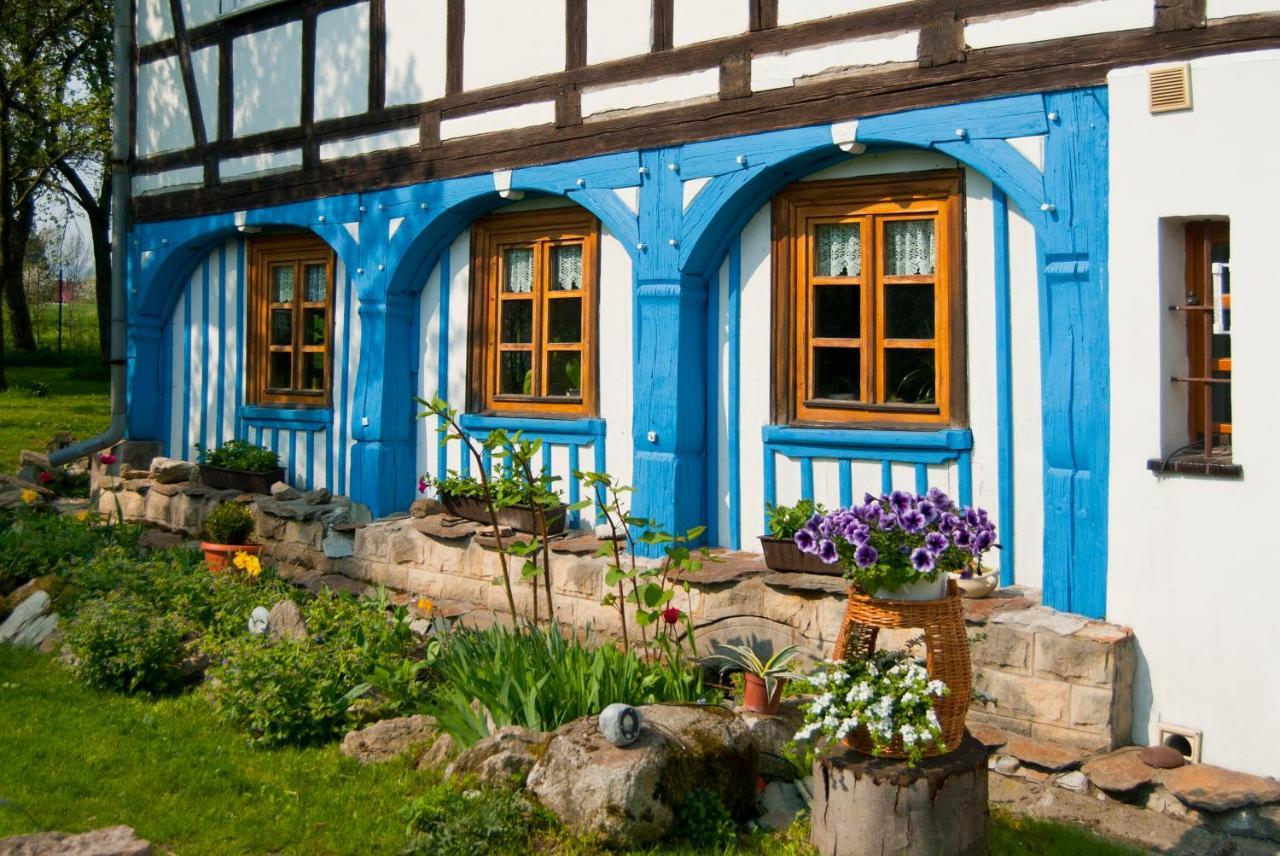 Apartament Dom Przysłupowy Educare Świeradów-Zdrój Zewnętrze zdjęcie